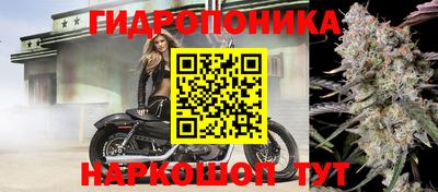 индика Коммунар